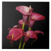 Lírios de Calla Roxo Elegante