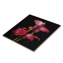 Azulejo De Cerâmica Lírios de Calla Roxo Elegante