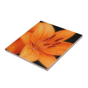 Azulejo De Cerâmica Lírios De Tigre Asiático Laranja Beijado Pela Chuv