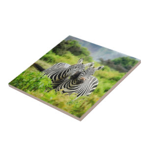 Azulejo De Cerâmica Listras zebras na natureza