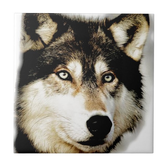 Azulejo De Cerâmica Lobo Motivacional Único (Frente)