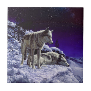 Azulejo De Cerâmica Lobos cinzas na neve de inverno à noite