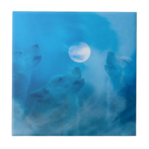 Azulejo De Cerâmica Lobos e presentes indígenas da Lua