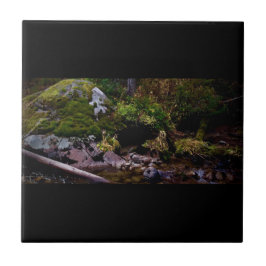 Azulejo De Cerâmica Local Secreto