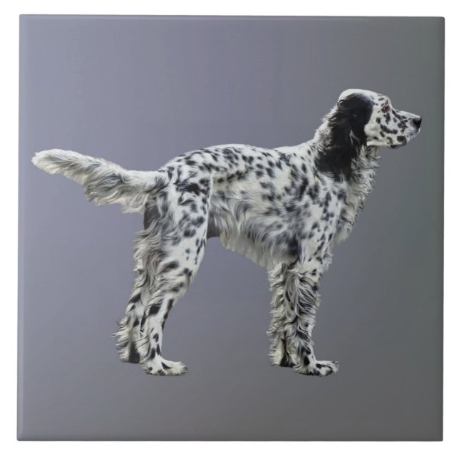 Azulejo De Cerâmica Loewellin Setter (Frente)