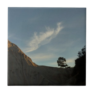 Azulejo De Cerâmica Lone Torrey Pine California Sunset Landscape
