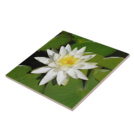 Azulejo De Cerâmica Lotus Branco