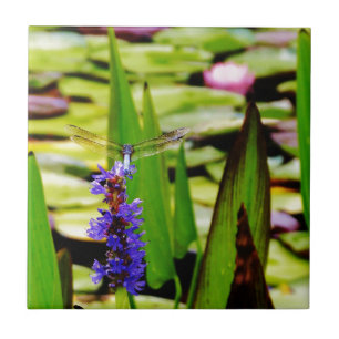 Azulejo De Cerâmica Lótus de Dragfly e flor púrpura