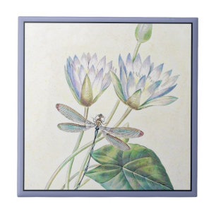 Azulejo de cerâmica Lotus e dragonfly