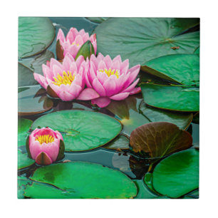 Azulejo De Cerâmica Lótus rosa