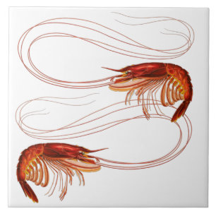 Azulejo De Cerâmica Louisiana Shrimp
