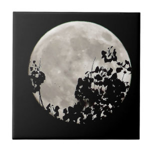 Azulejo De Cerâmica Lua atrás das folhas escuras