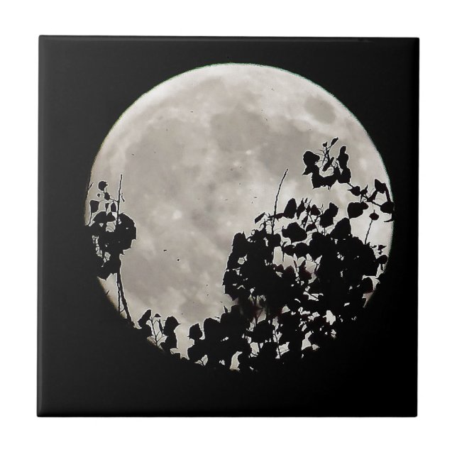 Azulejo De Cerâmica Lua atrás das folhas escuras (Frente)