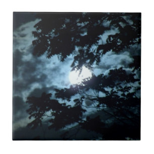 Azulejo De Cerâmica Lua Ilumina a Noite por trás das Ramificações d