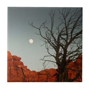 Azulejo De Cerâmica Lua má