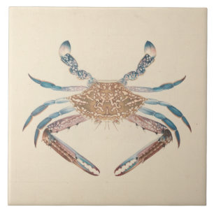 Azulejo De Cerâmica Luigi Balugani - Portunua Pelagicus - Blue Crab