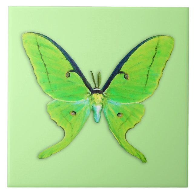 Azulejo De Cerâmica Luna moth com um fundo verde pálido (Frente)