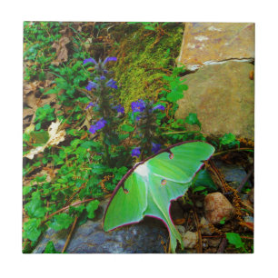 Azulejo De Cerâmica Luna Mth Verde