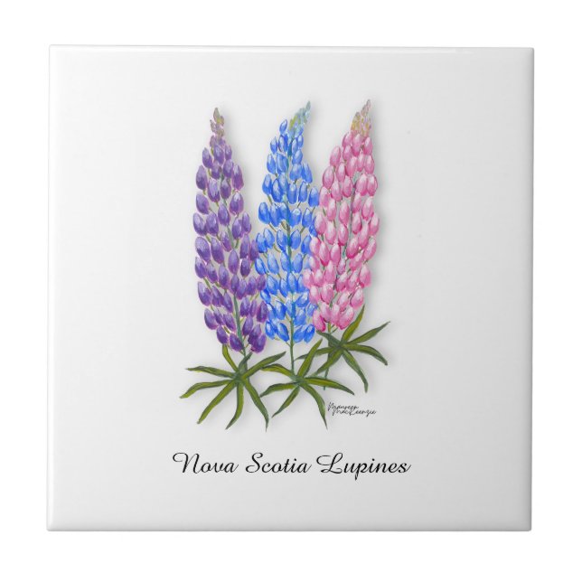Azulejo De Cerâmica Lupinos da Nova Escócia (Frente)