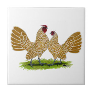 Azulejo De Cerâmica Lustre de Sebrights atado