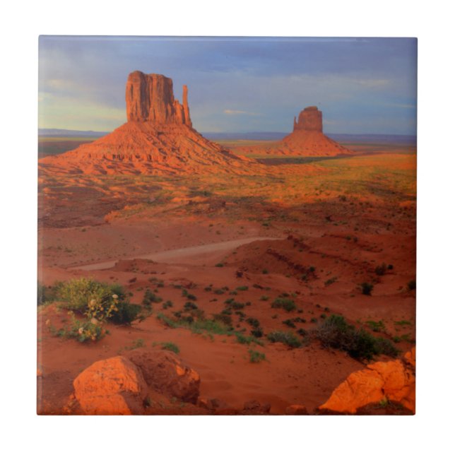 Azulejo De Cerâmica Luvas, Monument valley, AZ (Frente)