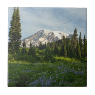 Azulejo De Cerâmica Luz da Manhã no Monte Rainier