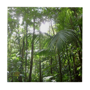 Azulejo De Cerâmica Luz do sol através da capa tropical da floresta tr