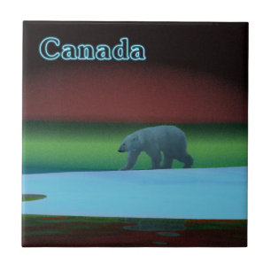 Azulejo De Cerâmica Luz Polar Urso