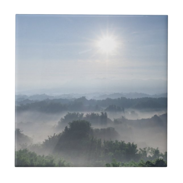 Azulejo De Cerâmica Luz solar brilhante nas árvores de bambu | Formosa (Frente)