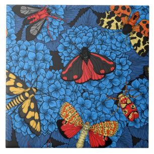 Azulejo De Cerâmica Luzes sobre hidrangea azul
