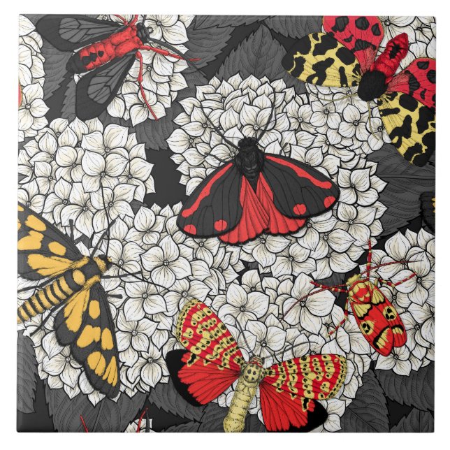 Azulejo De Cerâmica Luzes sobre hidrangea branca (Frente)