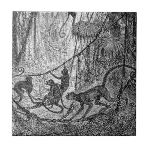 Azulejo De Cerâmica Macaco da selva dos macacos de aranha dos 1800s do