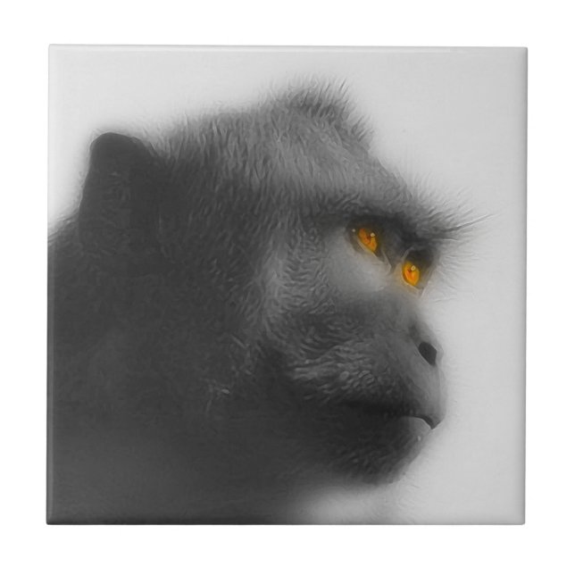 Azulejo De Cerâmica Macaco Penso (Frente)