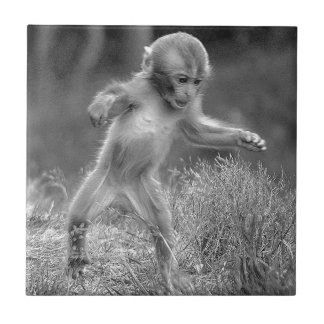 Azulejo De Cerâmica Macaco pequeno Funky