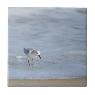 Azulejo De Cerâmica Maçarico solitário caminhando na praia 