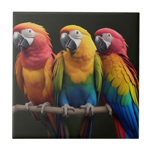 Azulejo De Cerâmica Macaw (Frente)