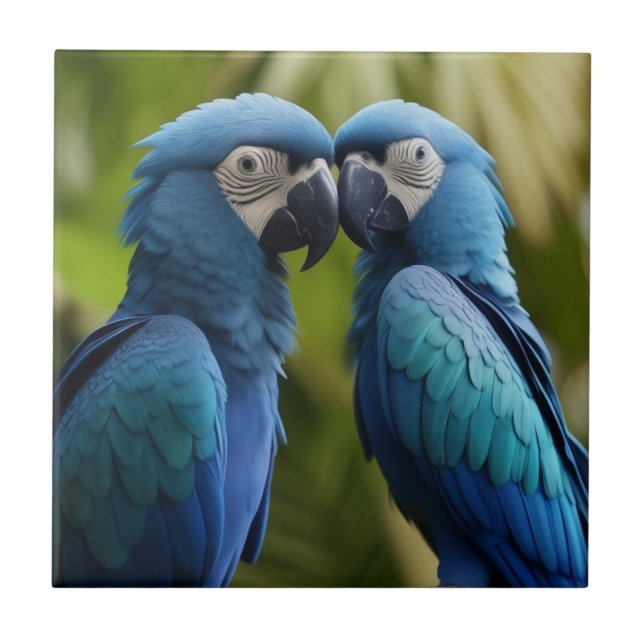 Azulejo De Cerâmica Macaw Azul (Frente)