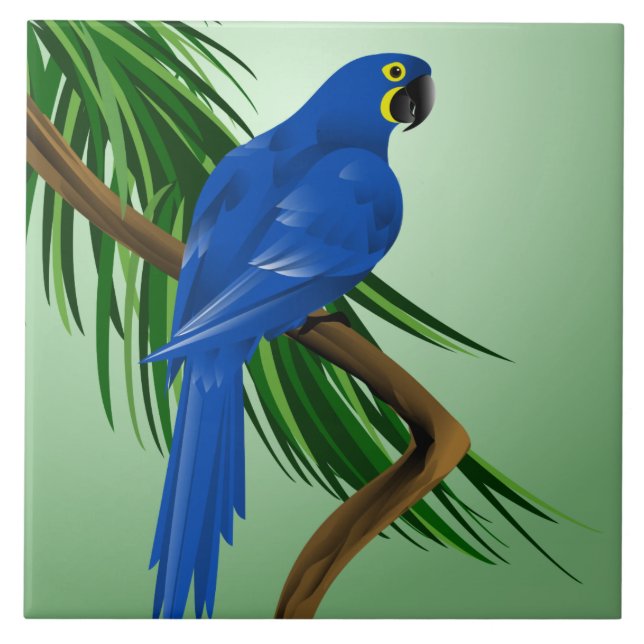 Azulejo De Cerâmica Macaw azul (Frente)