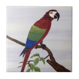 Azulejo De Cerâmica Macaw Parrot