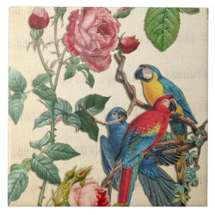 Azulejo De Cerâmica Macaws E Rosas Vintage