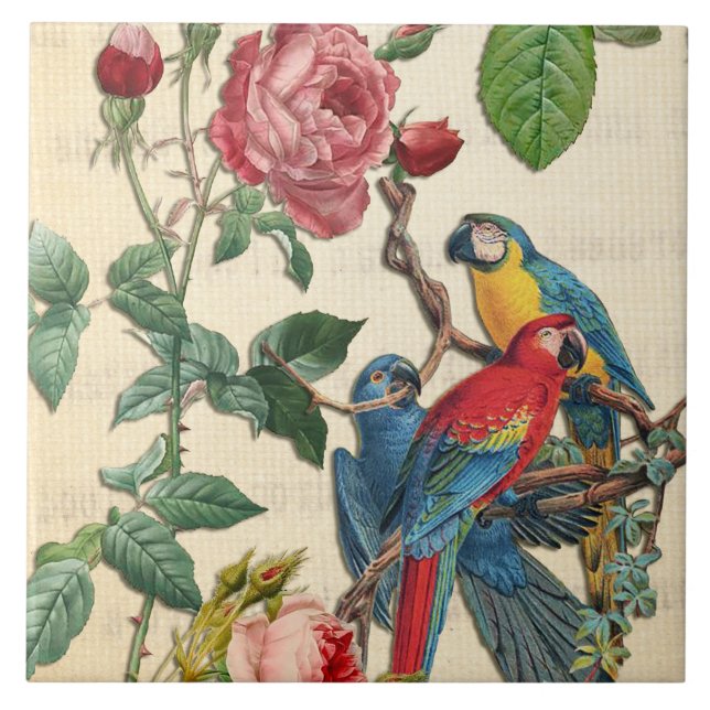 Azulejo De Cerâmica Macaws E Rosas Vintage (Frente)