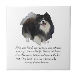 Azulejo De Cerâmica Macho de Recordação da Pomerânia