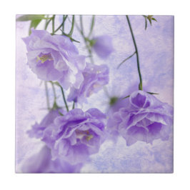 Azulejo De Cerâmica Macro Flores de Campanela Roxas