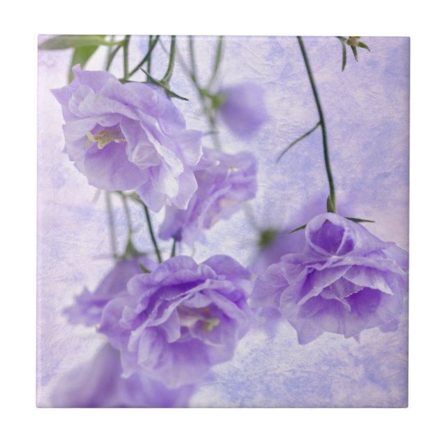 Azulejo De Cerâmica Macro Flores de Campanela Roxas (Frente)
