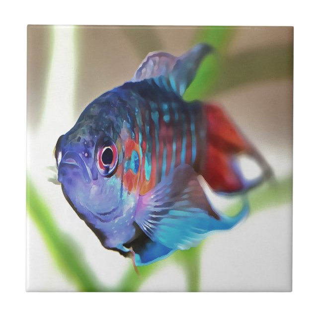 Azulejo De Cerâmica Macropodus Opercularis Peixes de Aquário (Frente)