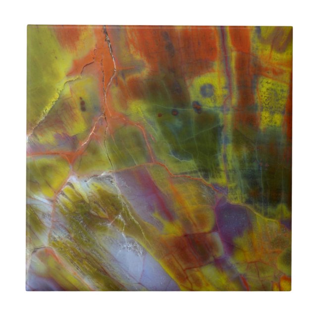 Azulejo De Cerâmica Madeira de arco-íris Petrificada (Frente)