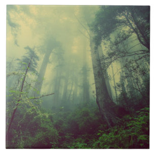 Azulejo De Cerâmica Madeira De Baixo