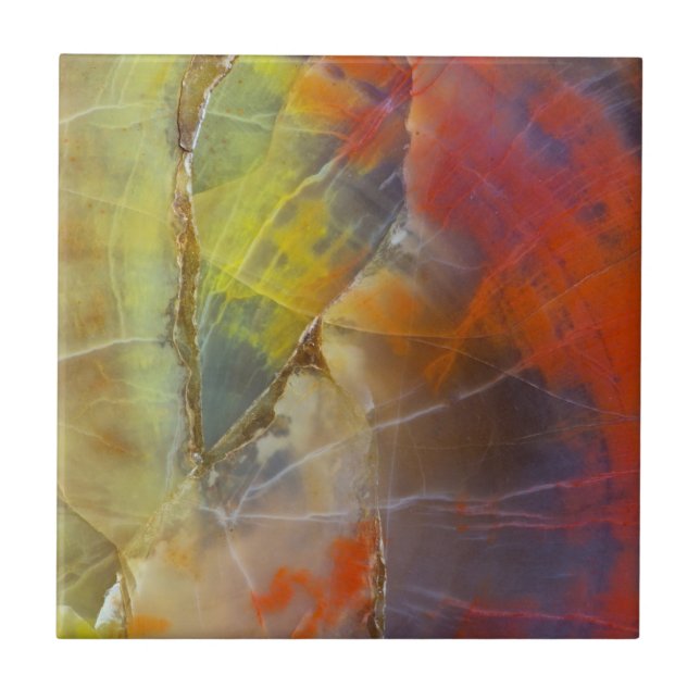 Azulejo De Cerâmica Madeira Petrificada Do Arco-Íris Colorida (Frente)