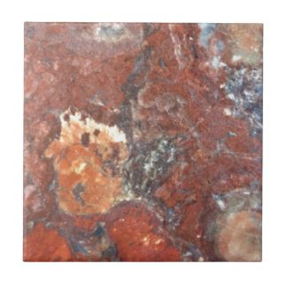 Azulejo De Cerâmica Madeira Petrified de AZ