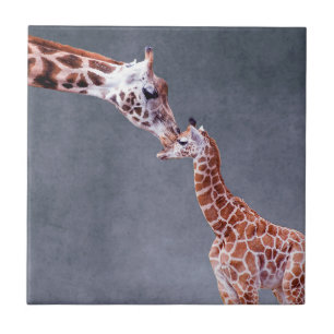 Azulejo De Cerâmica Mãe das imagens de Getty & girafa do bebê
